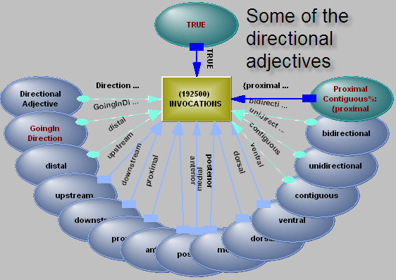 DirectionalAdjectives.png (81731 bytes)