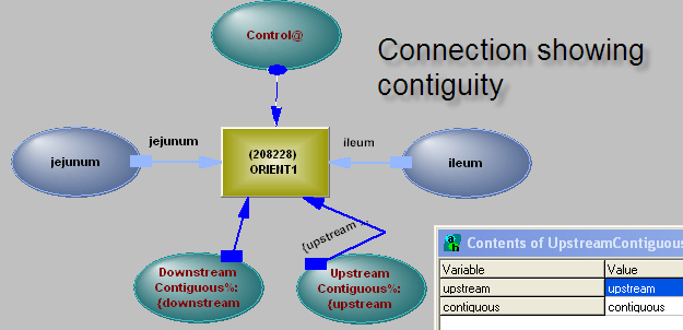 SingleORIENT1.png (42578 bytes)