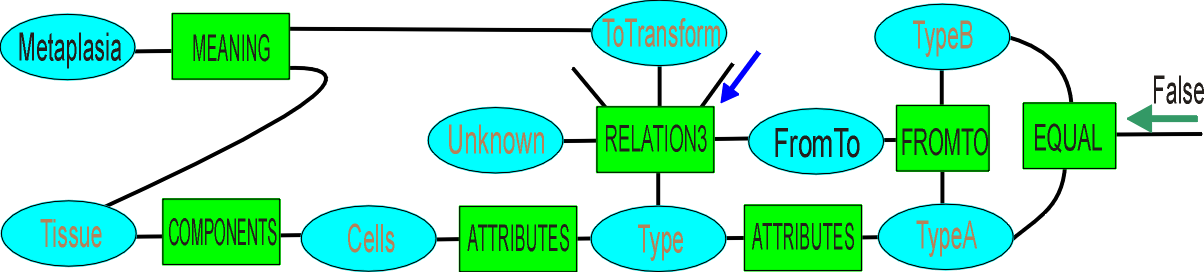 metaplasia.png (63808 bytes)