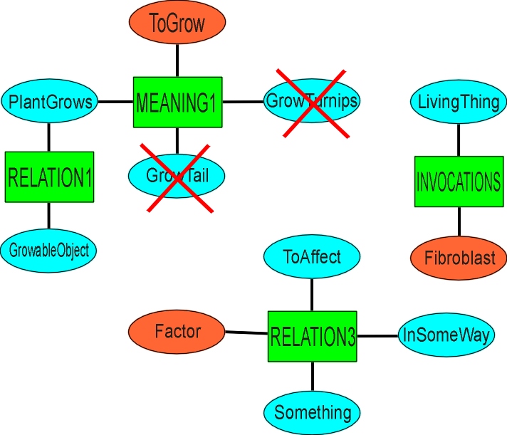 fibroblast1.JPG (132669 bytes)