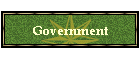 Government